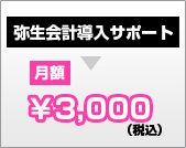 名古屋で会社設立したならこちら　弥生会計導入サポート　月額3000円(税込み)